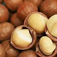 Macadamia Nuts