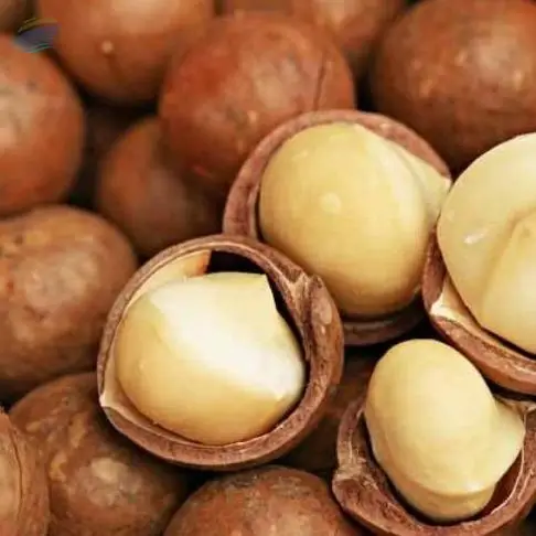 Macadamia Nuts