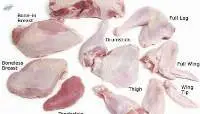 Frozen Fresh Whole Turkey Meat