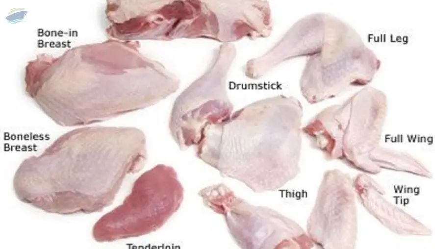 Frozen Fresh Whole Turkey Meat by I & K Enterprises. Supplier from