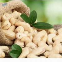 Cashew Nuts