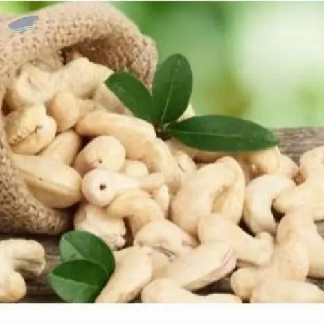 Cashew Nuts