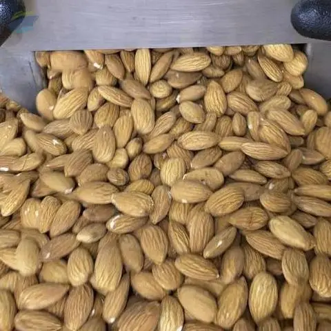 Almonds Nuts