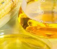 High Fructose Corn Syrup