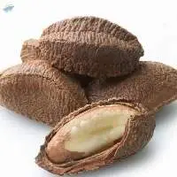 Brazil Nuts