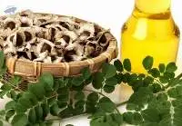 Moringa Seed Oil, Moringa Seed