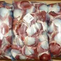 Frozen Fresh Turkey Gizzards