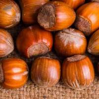 Hazelnuts