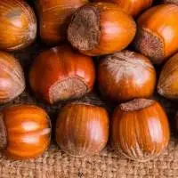 Hazelnuts