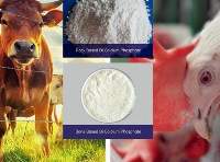 Di Calcium Phosphate