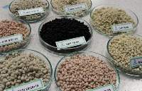 Diammonium Phosphate Fertilizer