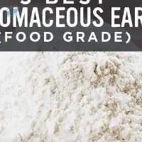 Diatomaceous Earth Food Grade