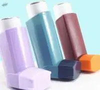 Budesonide Iinhaler Spray