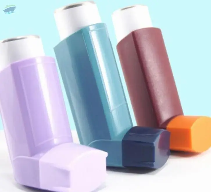 Budesonide Iinhaler Spray