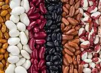 Kidney Beans