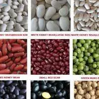 White Kidney Beans