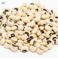 Black Eyed Peas Beans