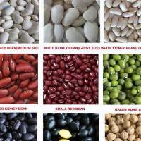 Cannellini Beans