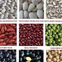 Cannellini Beans