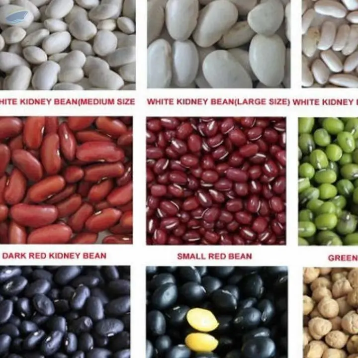 Red Beans