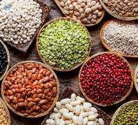 Fayot Beans