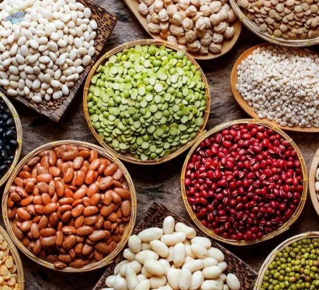 Fayot Beans