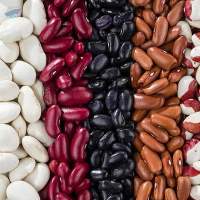 Black Kidney Beans