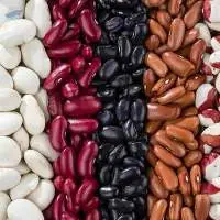 Black Kidney Beans