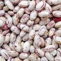 Spotted Kidney Beans