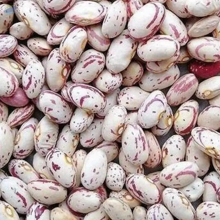 Spotted Kidney Beans