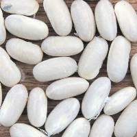 Navy Beans