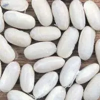 Navy Beans