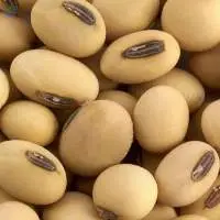 Soybeans