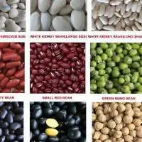 Vigna Beans