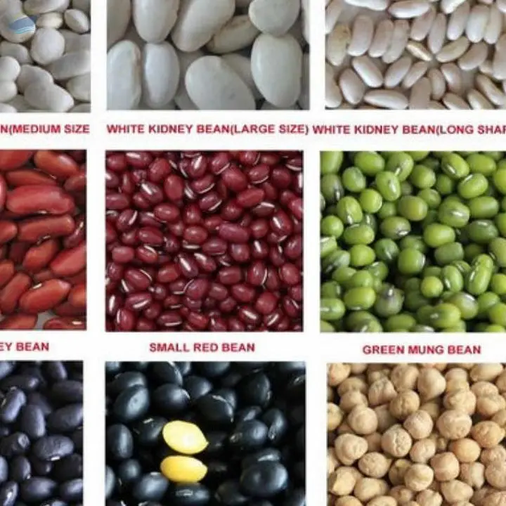 Vigna Beans