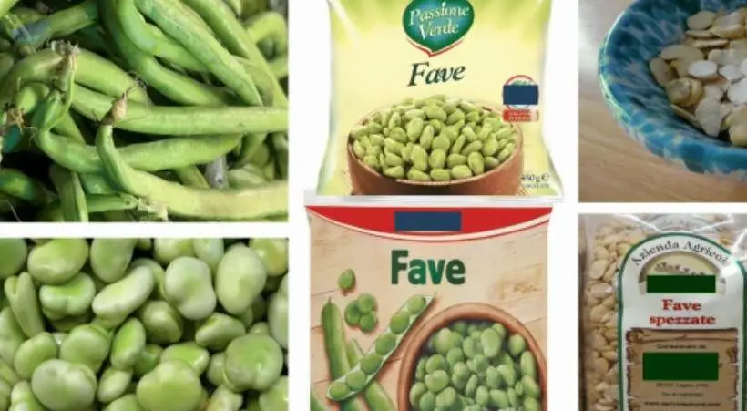Broad Beans