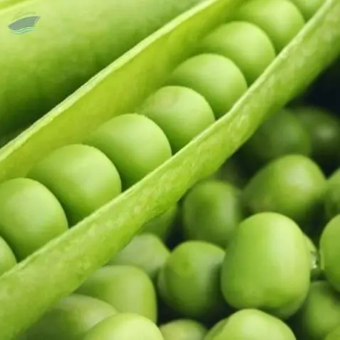 Peas