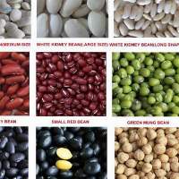Mung Beans