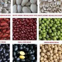 Mung Beans
