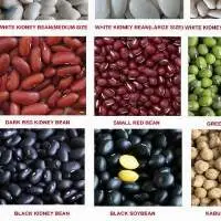 Black Beans