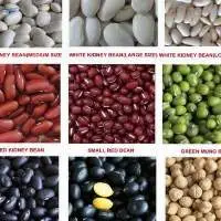 Organic Beans
