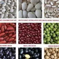Butter Beans