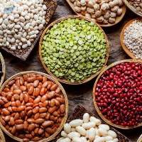 Lima Beans