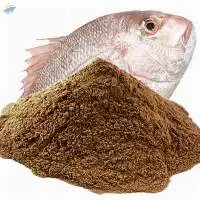 Fish Meal
