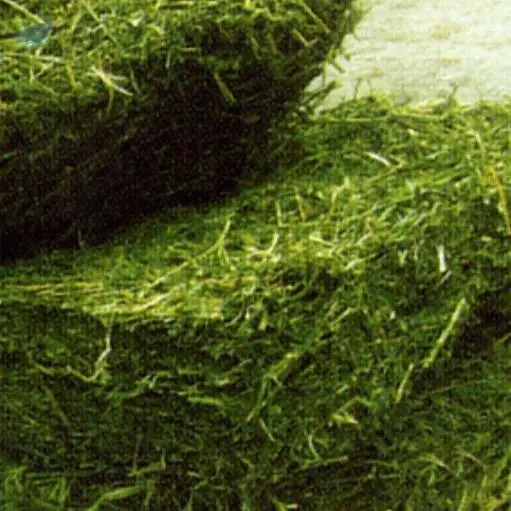 Alfalfa Hay