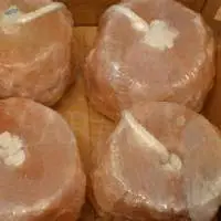Salt Licks For Horses