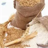 Whole Wheat Bran Flour