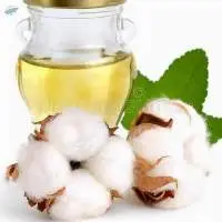 Cotton Seed Oil