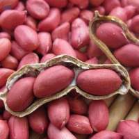 Raw Peanuts For Sale