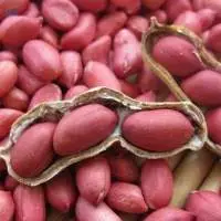 Raw Peanuts For Sale